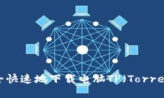  如何安全快速地下载电脑TP（Torrent文件）？