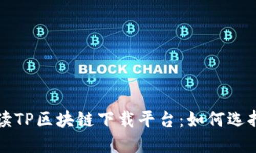 全面解读TP区块链下载平台：如何选择和使用