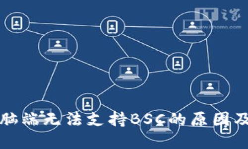 TP钱包电脑端无法支持BSC的原因及解决方案