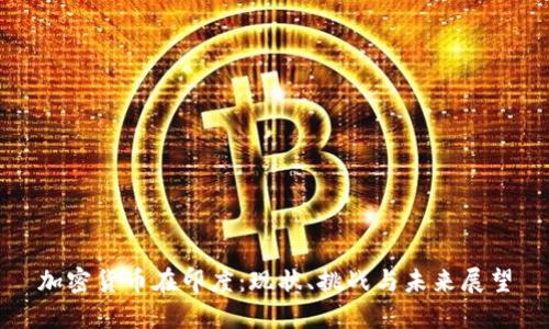 加密货币在印度：现状、挑战与未来展望