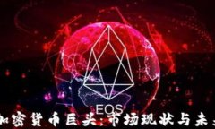 中国加密货币巨头：市场现状与未来展望