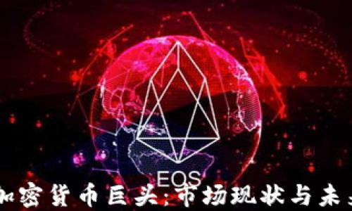 中国加密货币巨头:市场现状与未来展望